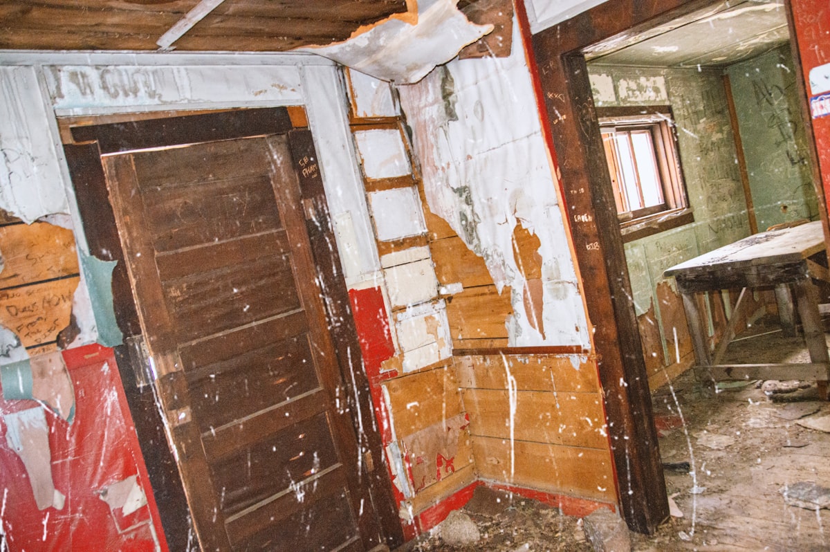 Mold Remediation service in Burnsville, MN